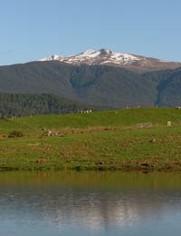 View of Mount Luxmore from near Prospect Lodge acommodation